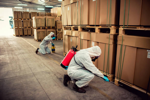 Best Wasp Removal Services  in Yardville, NJ