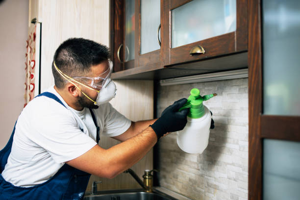 Best Residential Pest Control  in Yardville, NJ