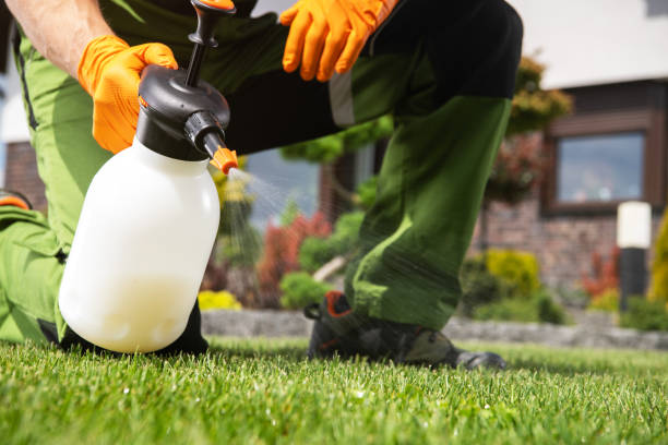 Best Pest Control Near Me  in Yardville, NJ
