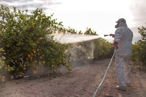 Best Pest Control Near Me  in Yardville, NJ