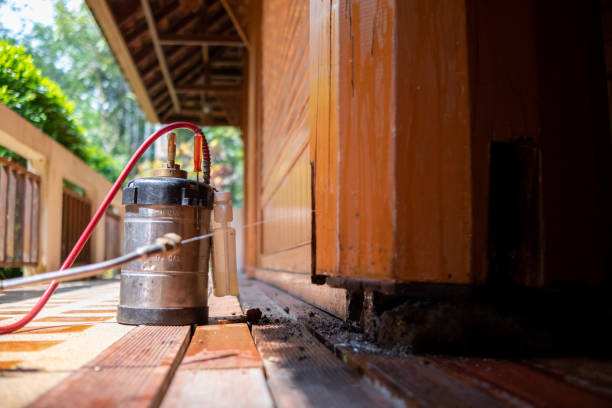 Pest Prevention Services in Yardville, NJ