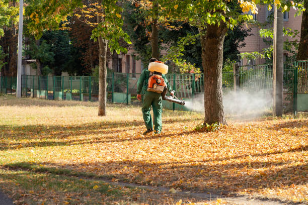 Best Pest Inspection Near Me  in Yardville, NJ