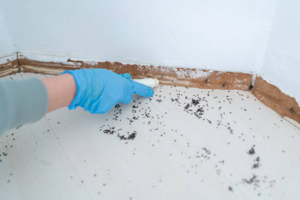 Best Affordable Pest Control Services  in Yardville, NJ